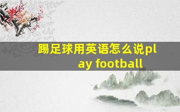 踢足球用英语怎么说play football